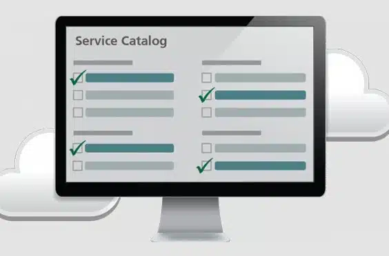 computer screen showing 4 options with check marks for products